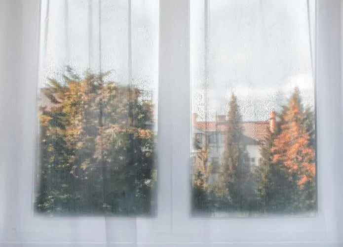 Beseda 4* 체스케부데요비체